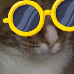 Meet your Posher, Cecilia